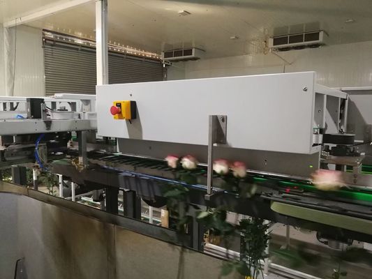 फूल छँटाई स्वचालित फोकससाइट निरीक्षण मशीन